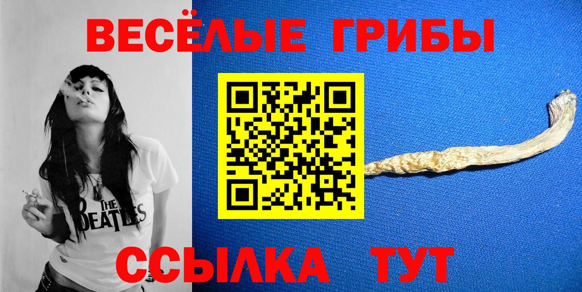 Псилоцибиновые грибы Magic Shrooms  Галлюциногенные грибы Psilocybe  Вход с VPN  Зерноград 