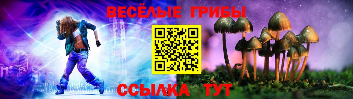 Галлюциногенные грибы MAGIC MUSHROOMS Зерноград